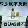 娃娃音专家的头像