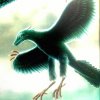 ༒意如流水࿈七哥࿈的头像