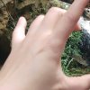 感悟幸福的头像