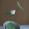 淡雅的头像