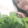 梦里水乡(暂离)的头像