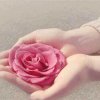 芳子的头像
