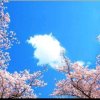 小月的头像