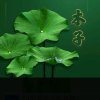 木子的头像