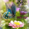 【樂享】娃娃菜乐5（感恩有你）的头像