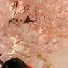 白云《退出》的头像