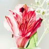 Yingzi歌的芬芳有访必回的头像