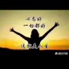 开就好的头像