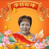 燕娟：燕子的头像