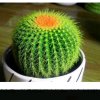 花开我等你。。。的头像
