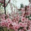 新无止境的头像