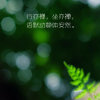风吹麦浪的头像