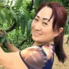 桃子的头像