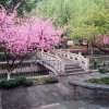 情到深处的头像