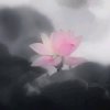 素颜如雪（永退）的头像