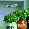 感恩有您的头像