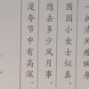 心无杂念的头像