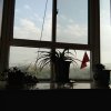 雨后彩虹的头像