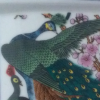 世缘的头像