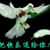 NI$恋$WO的头像