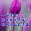 Gcqj王振的头像