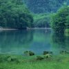 平安是福的头像