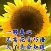 强身健体（忙，回复不及时请谅解）的头像