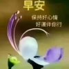 兰花的头像