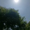 心灵通透的头像