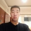 战马的头像