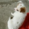记住我的头像