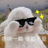 阿西-的头像