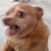 bysmallky的头像