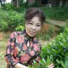 蓉蓉的头像