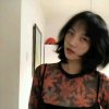 所爱隔山海的头像