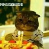 晴朗天空的头像