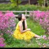 yiqiesuiyuan的头像