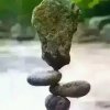 知足常乐的头像
