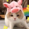 尹的头像