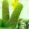 艾米妮的头像