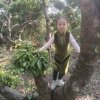好人一生平安的头像