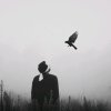 无名的头像