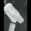 清欢的头像