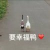 New的头像