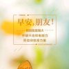 懂得珍惜的头像