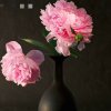 游子吟的头像