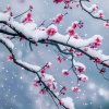 今生难忘WyF的头像