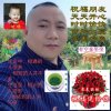 人缘的头像
