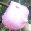 @皇 @ 家 @ 慢 @ 摇@的头像