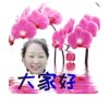 绛的头像